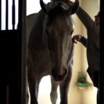 Video Production Insights by Doleep Studios 27 | video production costs FEI Abu Dhabi 2022